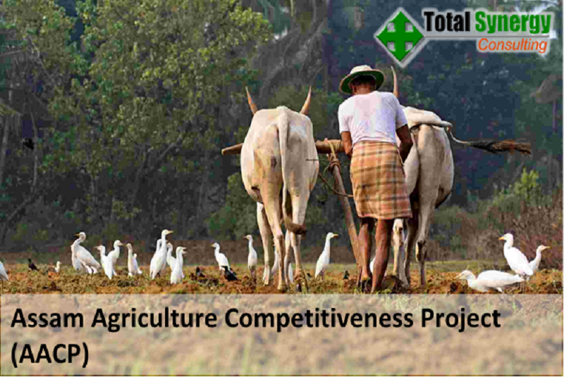 Assam Agriculture Competitiveness Project (AACP)
