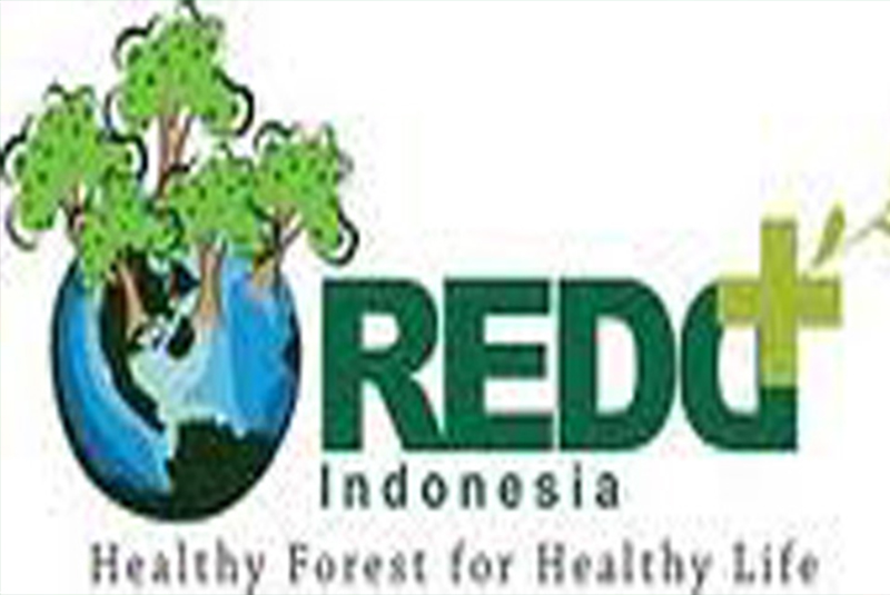 Support to the Establishment of Indonesia REDD+